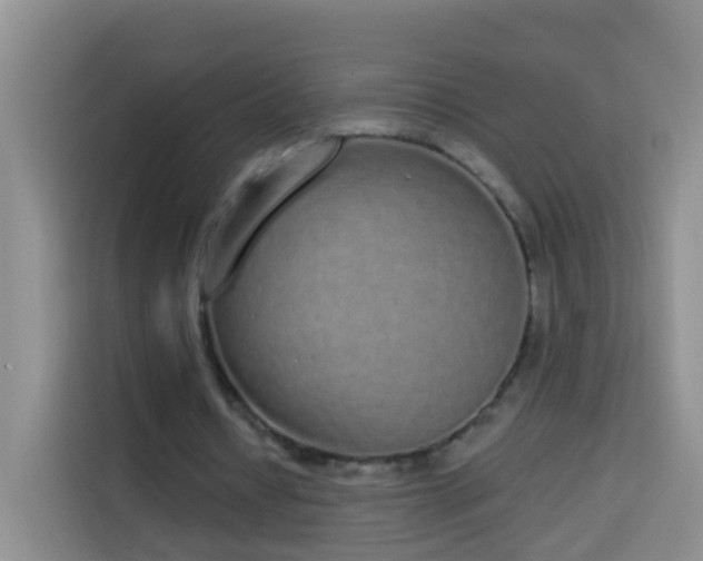 X0000114030434200910021441