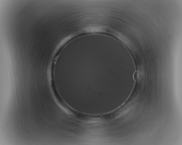 X0000114030438200910021441