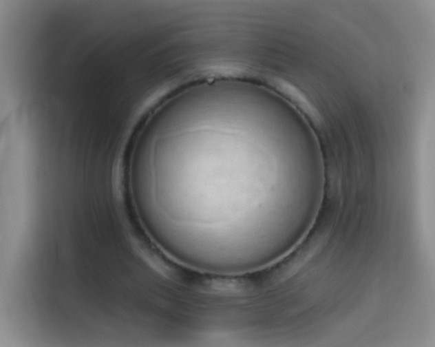 X0000114030439200910021442
