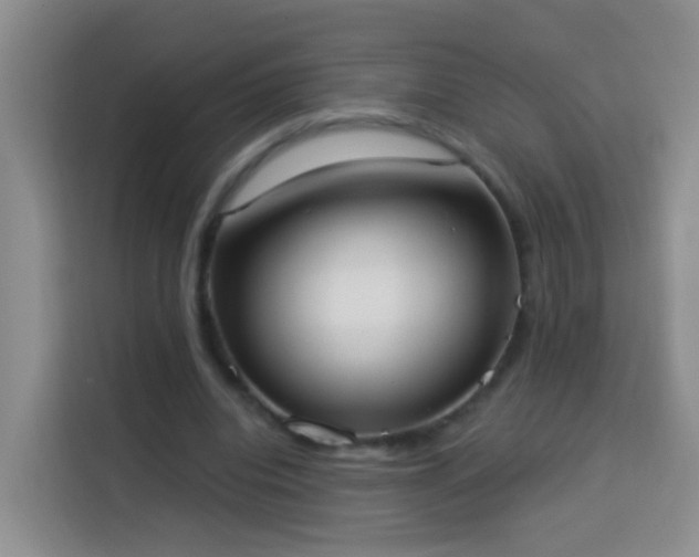 X0000114030440200910021442
