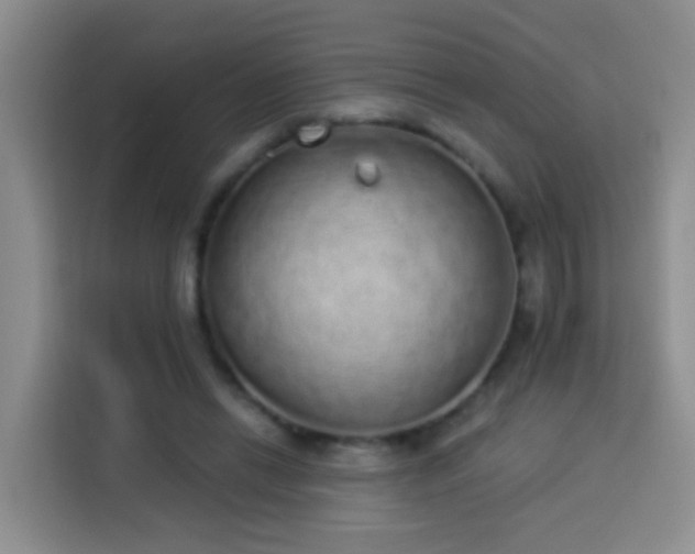 X0000114030446200910021442