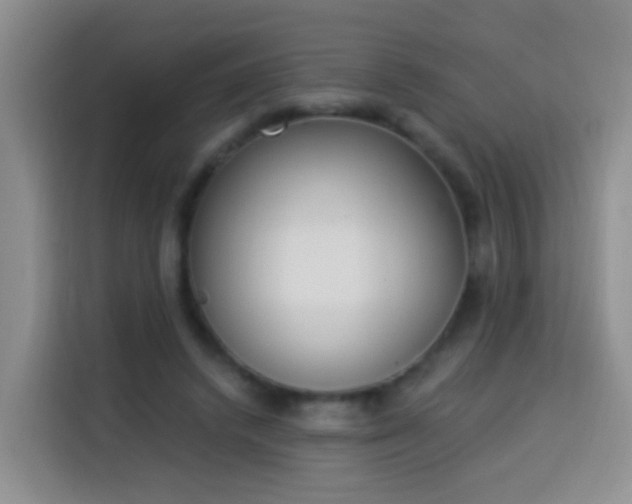 X0000114030448200910021442
