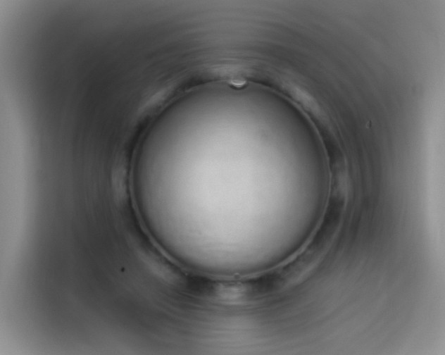 X0000114030450200910021442