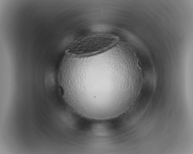 X0000114030452200910021442