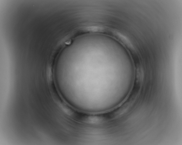 X0000114030453200910021442