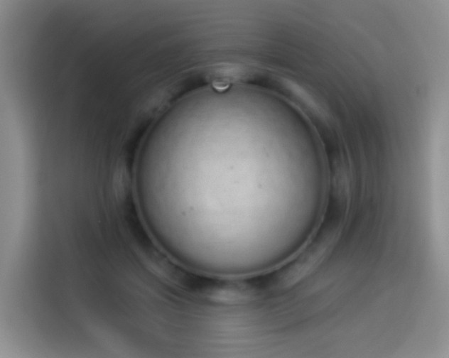 X0000114030459200910021442