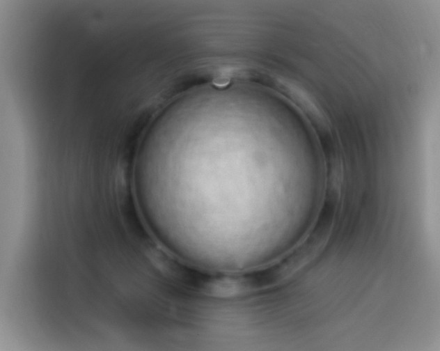 X0000114030461200910021442