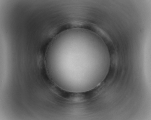 X0000114030463200910021442