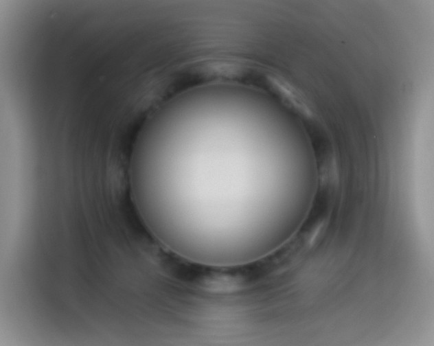 X0000114030464200910021442