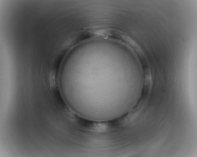 X0000114030469200910021442