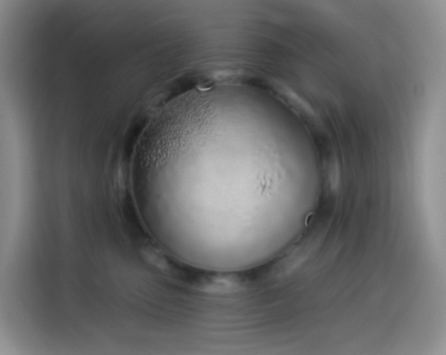 X0000114030475200910021442