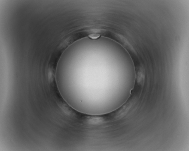 X0000114030476200910021442