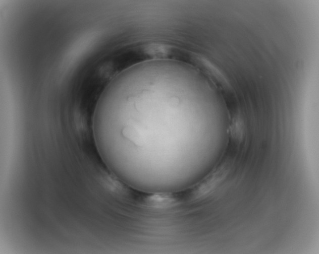 X0000114030477200910021442