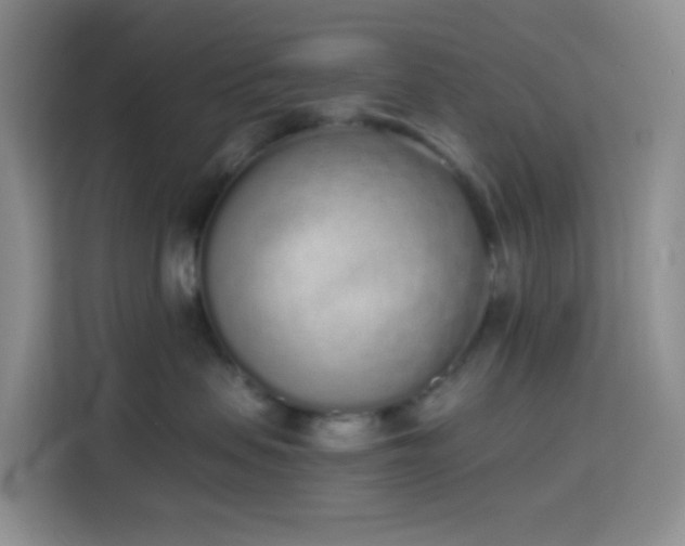 X0000114030479200910021442