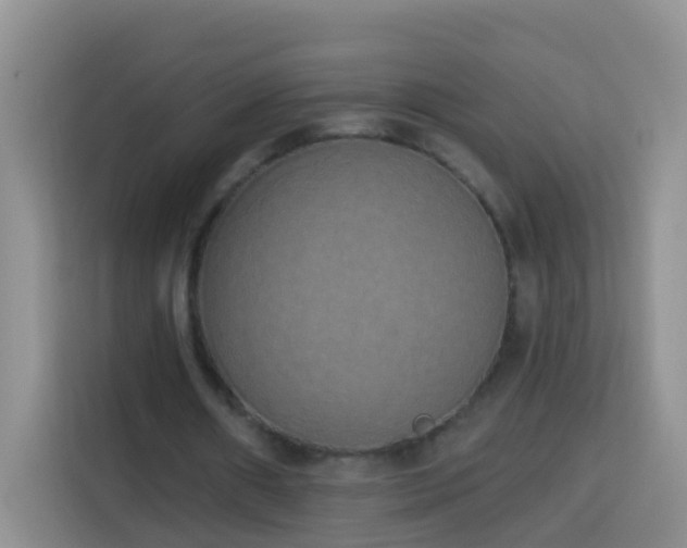 X0000114030482200910021441
