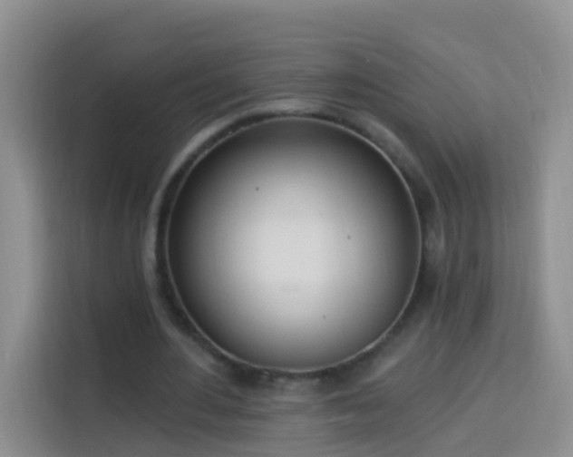 X0000114030484200910021441
