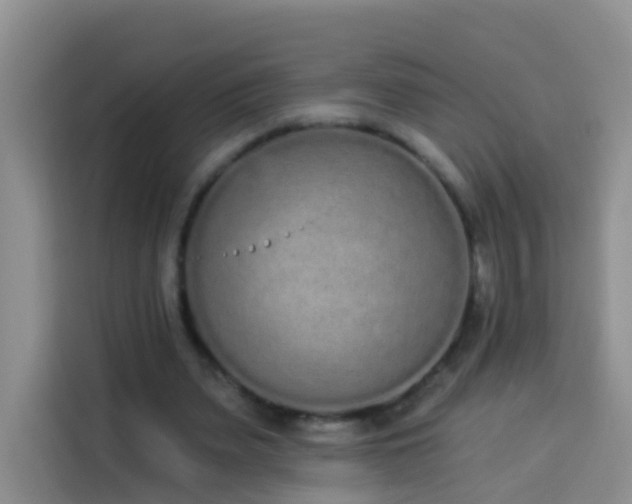 X0000114030487200910021441