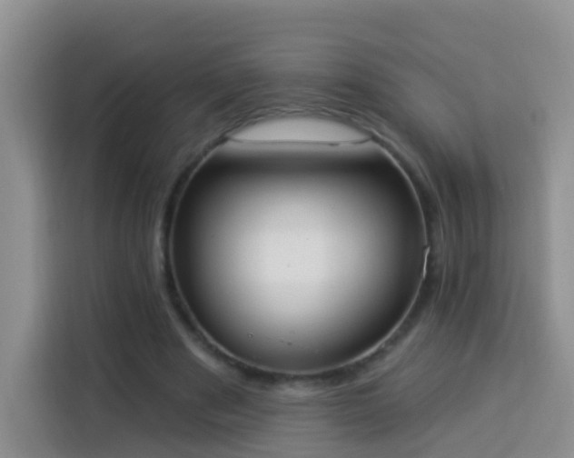 X0000114030489200910021441
