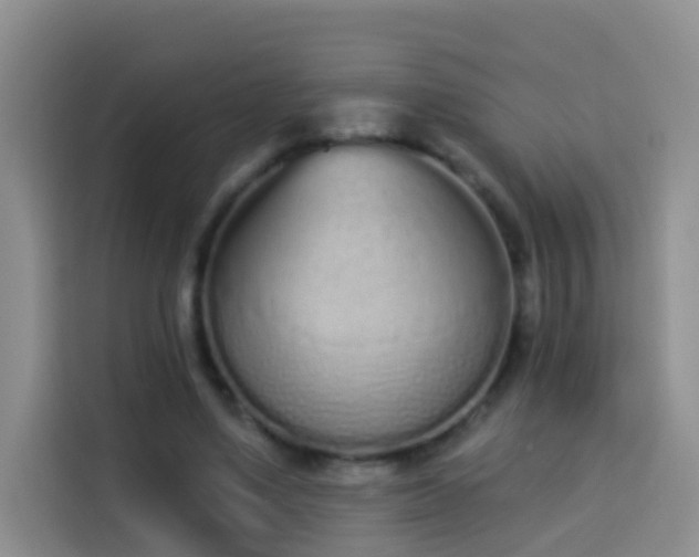 X0000114030491200910021441