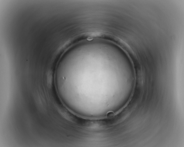 X0000114030495200910021441