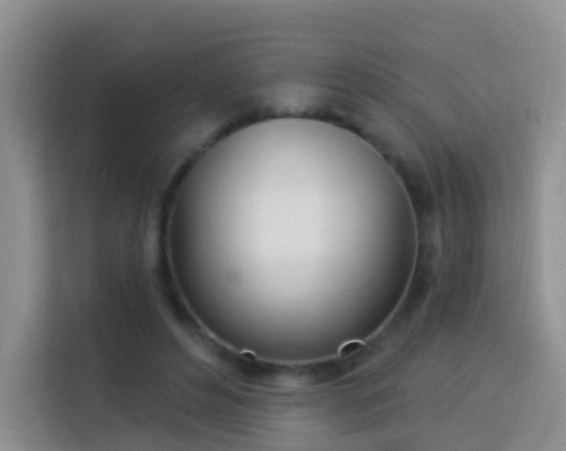 X0000114030496200910021441