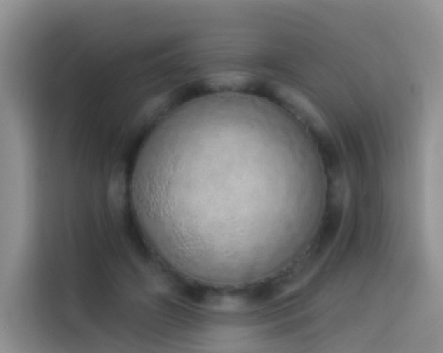 X0000114030498200910021441