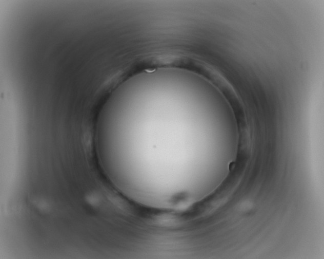 X0000114030505200910021441