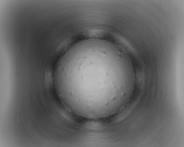 X0000114030506200910021441
