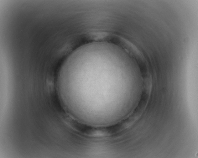 X0000114030510200910021441