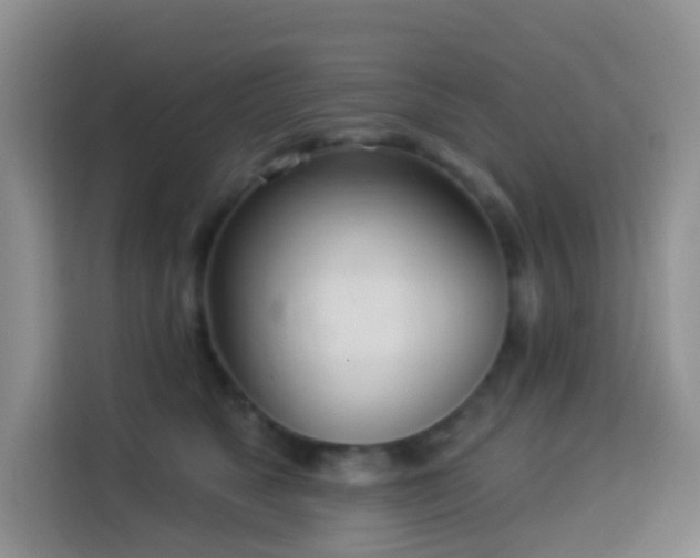 X0000114030517200910021441