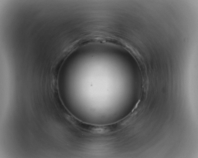 X0000114030521200910021441
