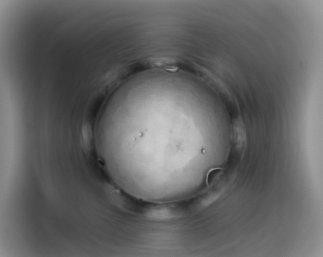 X0000114030523200910021441