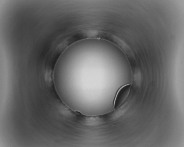 X0000114030525200910021441