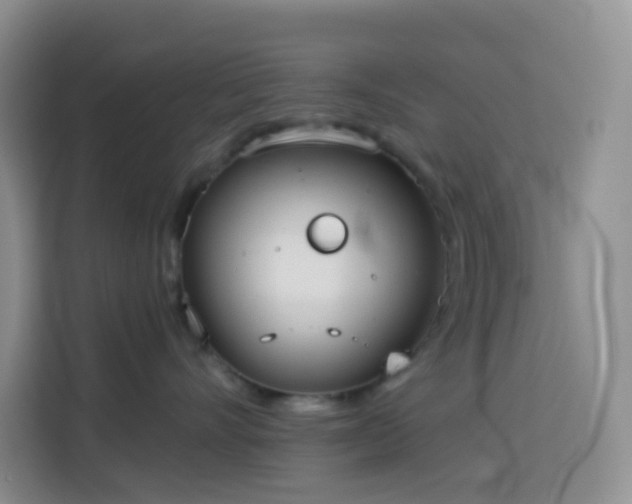 X0000114030528200910021441