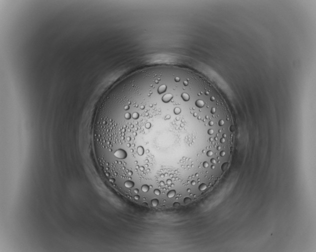 X0000114030529200910021440
