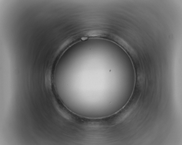X0000114030530200910021440