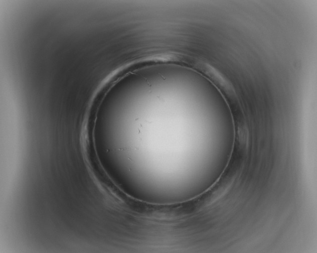 X0000114030532200910021440