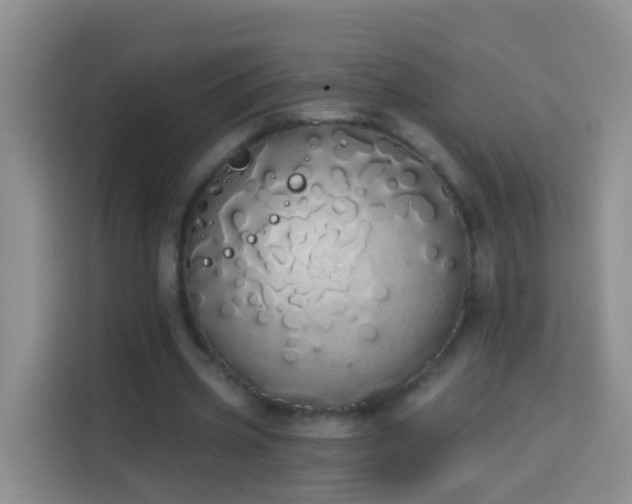 X0000114030533200910021440