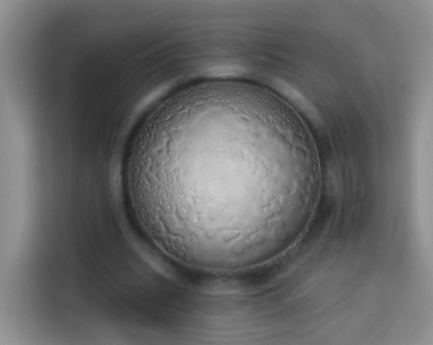 X0000114030535200910021440