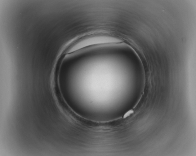 X0000114030536200910021440