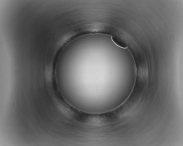 X0000114030540200910021440