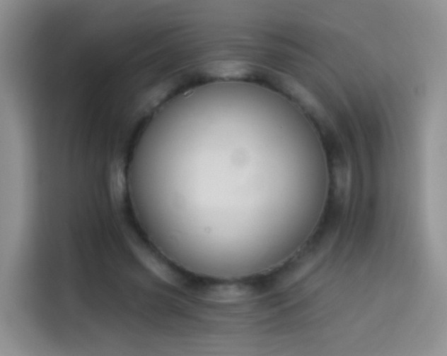X0000114030541200910021440