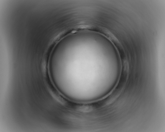 X0000114030542200910021440