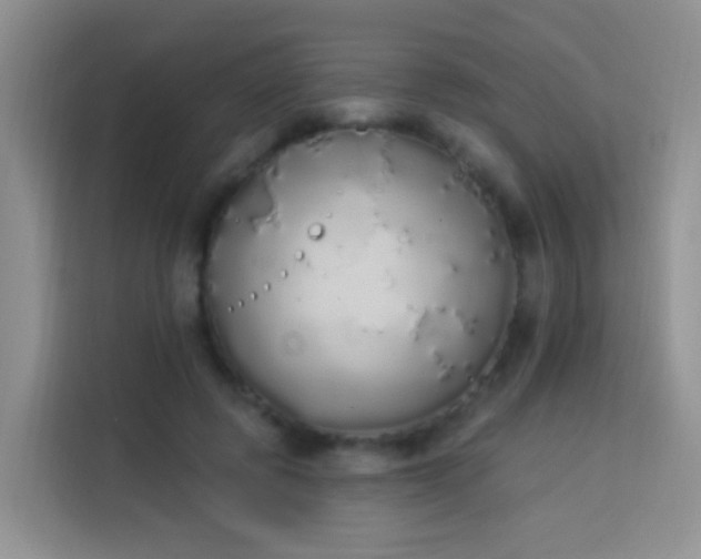 X0000114030545200910021440