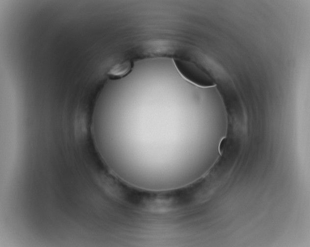 X0000114030546200910021440