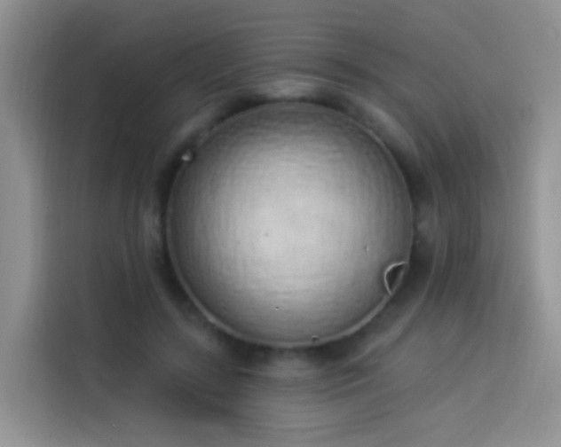 X0000114030547200910021440