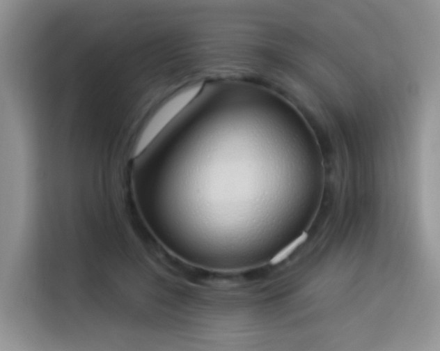 X0000114030548200910021440