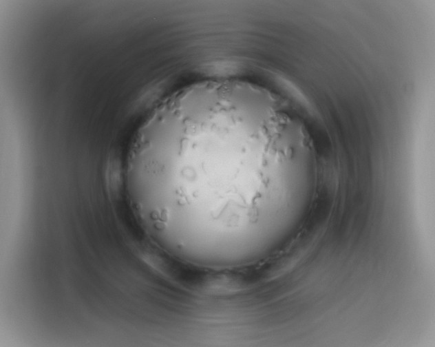 X0000114030549200910021440