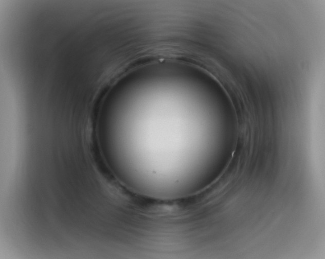 X0000114030552200910021440