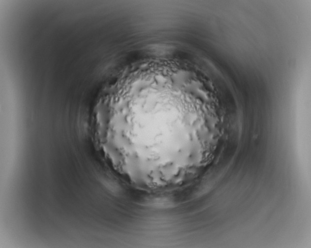 X0000114030553200910021440